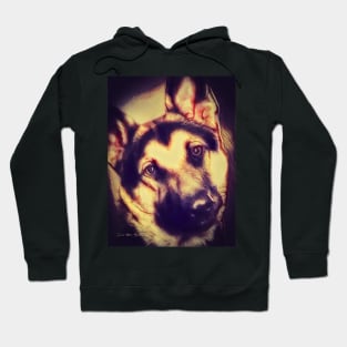 You Looking At Me?  -  Graphic 2 Hoodie